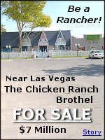 The owners of the Chicken Ranch brothel in Pahrump hope to sell the business for $6.95 million.
