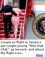 The first rule of the ''Mile High Club'' is don't get caught.