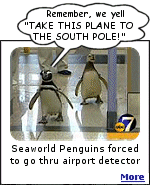 Osama has won. Denver airport security made Seaworld penguins get out of cages and go thru metal detector. 