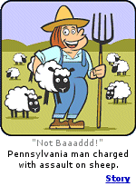 A Pennsylvania man who likes sheep, misunderstands the term ''Animal Husbandry''.  Click here for more.